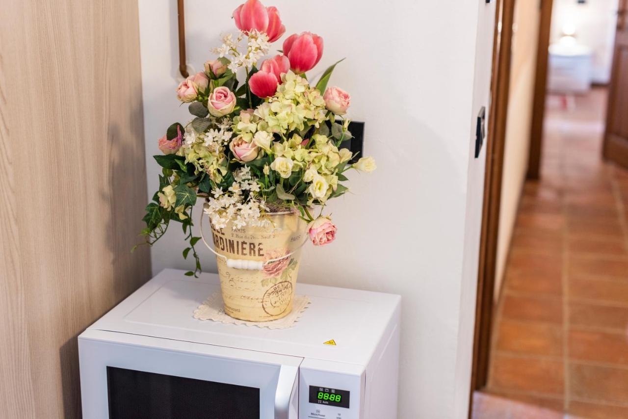 Conce Apartment ปิซา ภายนอก รูปภาพ